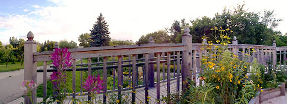 [Wide view of the Butterfly Garden at St. Norbert]